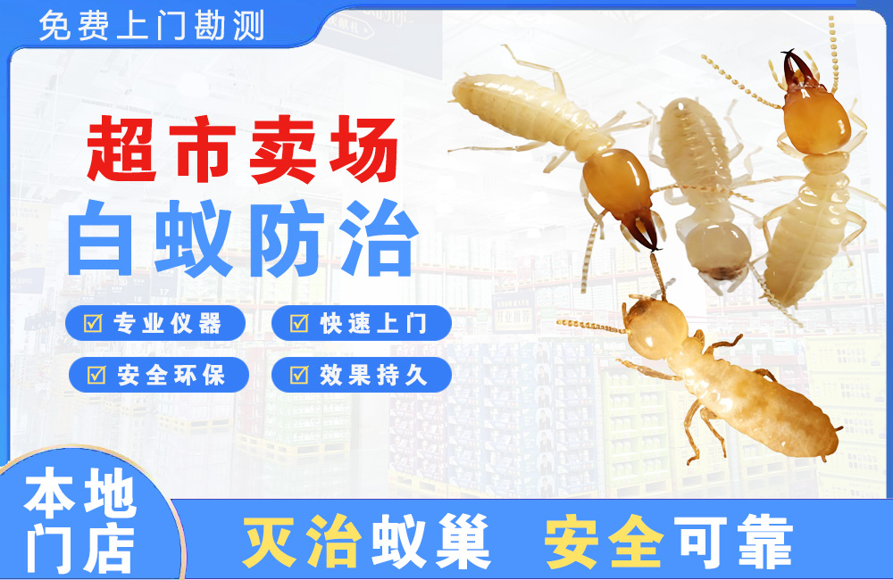 湛江超市卖场白蚁防治