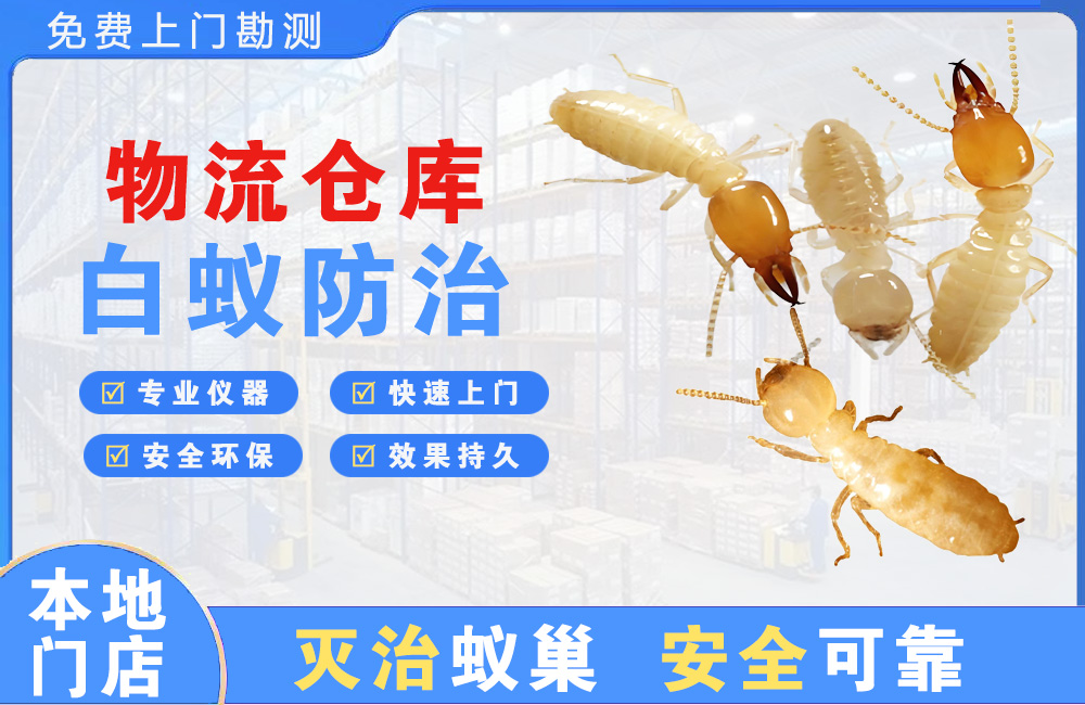 湛江物流仓库白蚁防治
