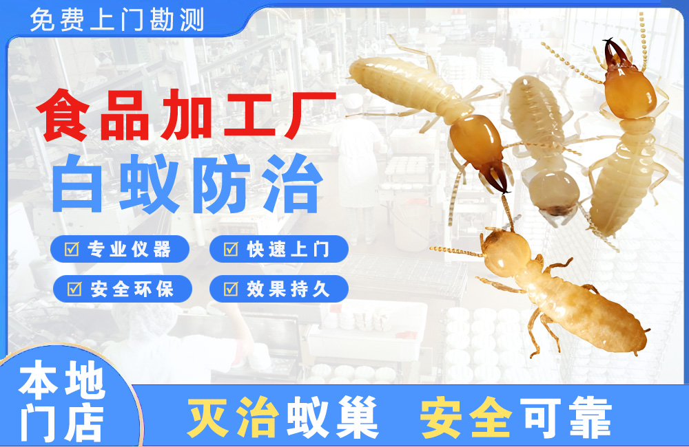 湛江食品加工厂白蚁防治
