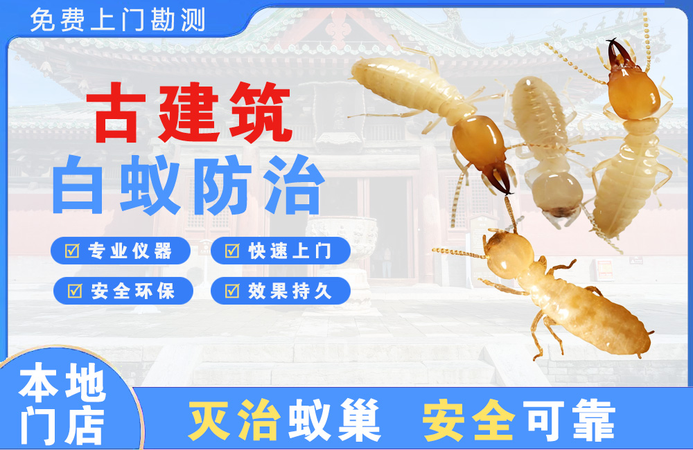 湛江古建筑白蚁防治